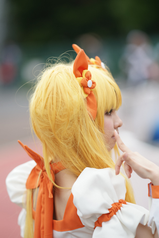 篮球赛事|卷柏是什么植物？卷柏的功效作用及养殖要点