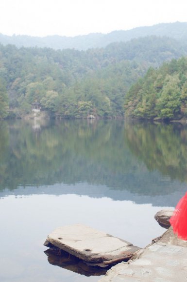 章鱼TV-4A金印奖锦鲤:参与Fair Creation同权共创系列活动,重量级大礼等你免费来拿(图3) 章鱼TV